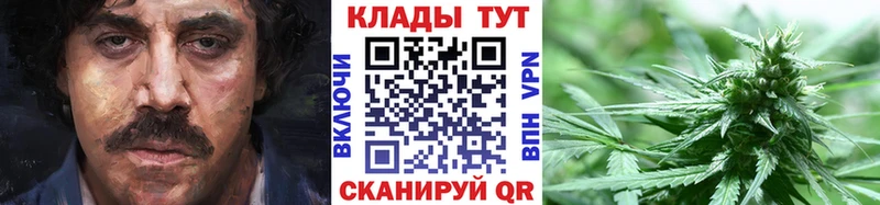 Купить закладку А ПВП  Меф мяу мяу  Лебедянь